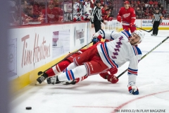 Wings vs Rangers Dec 29 2017 (31)