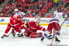 Wings vs Rangers Dec 29 2017 (33)