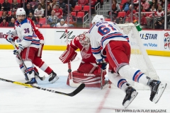 Wings vs Rangers Dec 29 2017 (34)