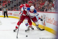 Wings vs Rangers Dec 29 2017 (39)