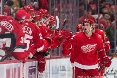 Wings vs Rangers Dec 29 2017 (6)