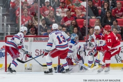 Wings vs Rangers Dec 29 2017 (7)