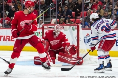 Wings vs Rangers Dec 29 2017 (9)
