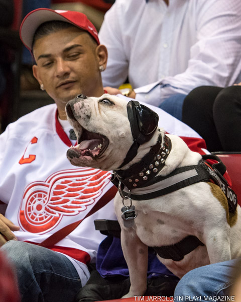 Red Wings vs Bruins, Oct 29