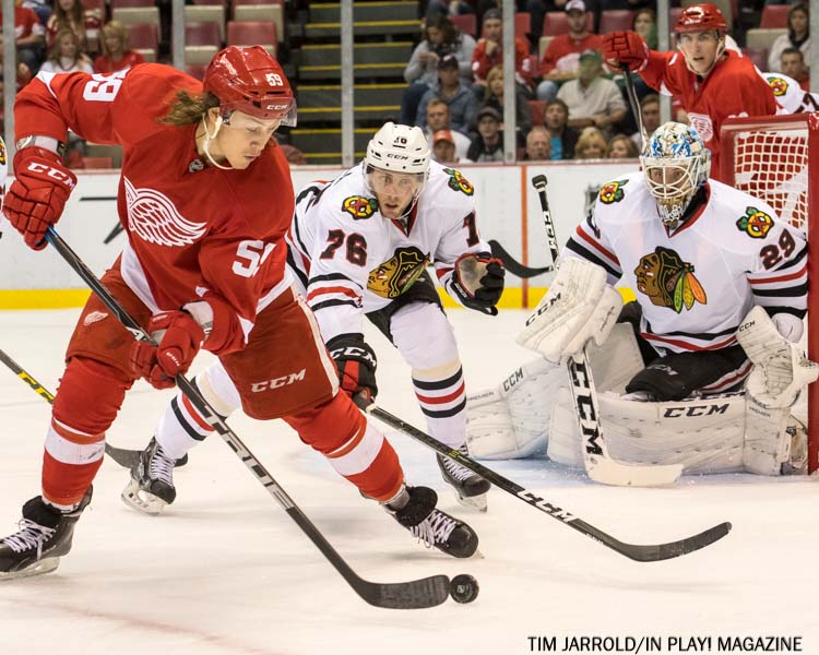 RED WINGS RECALL TYLER BERTUZZI