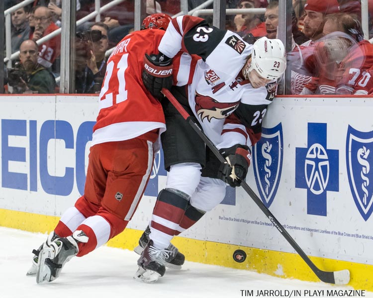 Red Wings vs Coyotes, Dec 13 PIX In Play! magazine