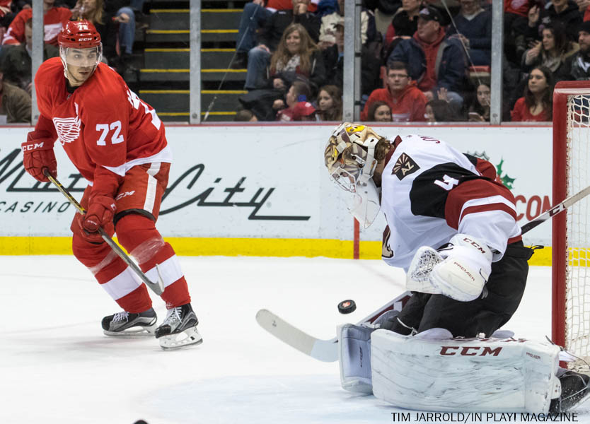 Red Wings vs Coyotes, Dec 13 PIX In Play! magazine