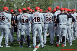 First Look at 2017 Detroit Tigers