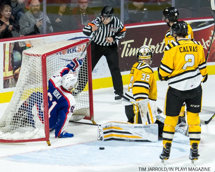 Sarnia Stings vs Windsor Spitfires PIX