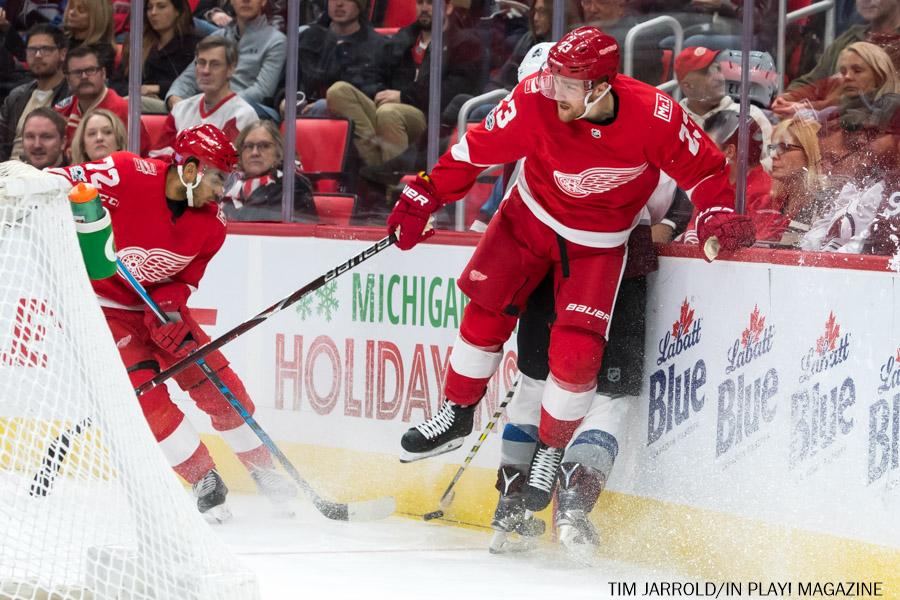 Red Wings vs Avalanche Nov 19 2017 PIX