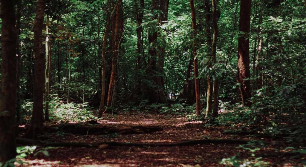 100th anniversary of Point Pelee National Park