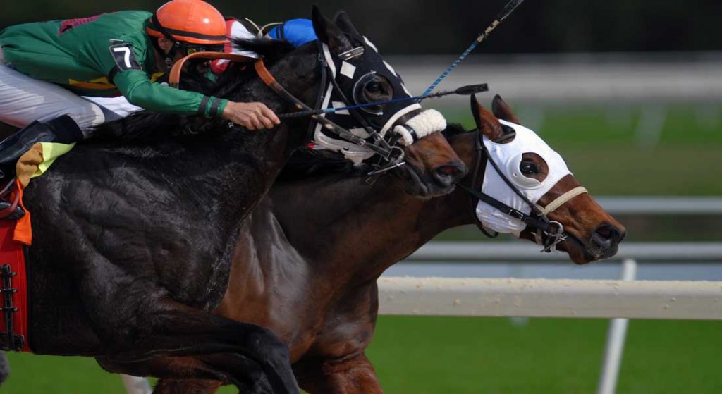 Ontario horse racing