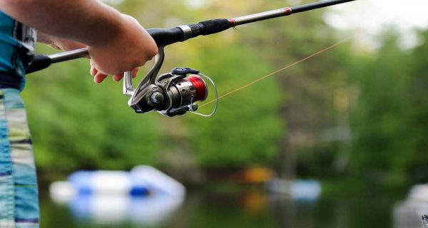 Province to Offer Free Fishing to Veterans and Active Armed Forces Members, Wildlife Licensing, Fishing Tournament