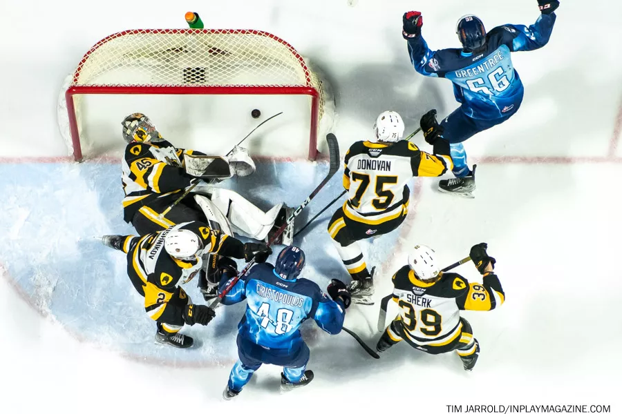 Hamilton Bulldogs at Windsor Spitfires February 4 2023. Photo Tim Jarrold - In Play! magazine