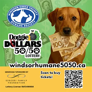 Windsor Humane Society - In Play! magazine