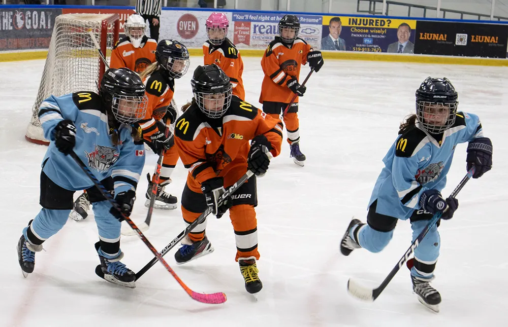 HOCKEY FOR HOSPICE