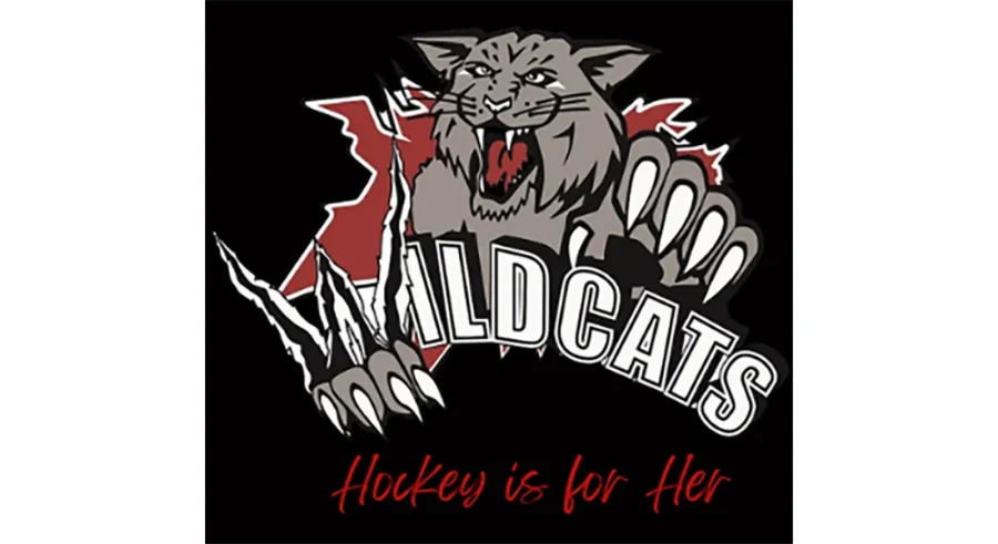 Windsor Wild Winter Classic - In Play! magazine