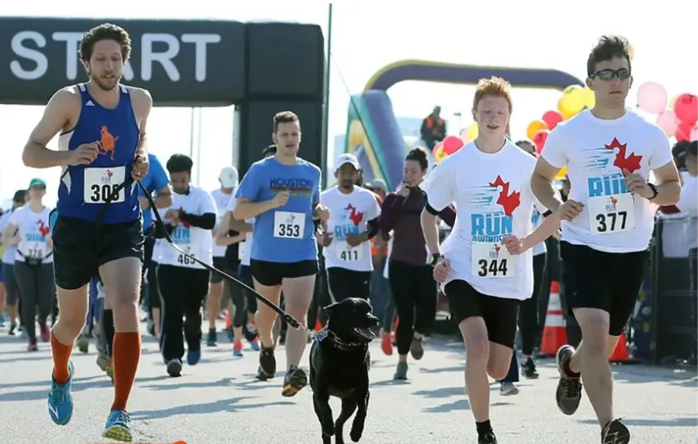 Run For Windsor 2026 - In Play! magazine
