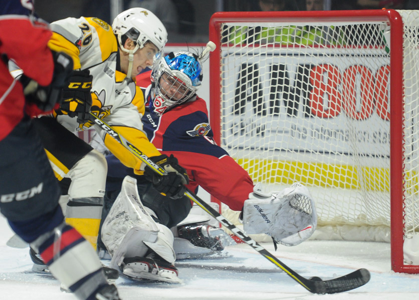 Windsor Spitfires vs Sarnia Sting Jan 11 2018 Gallery