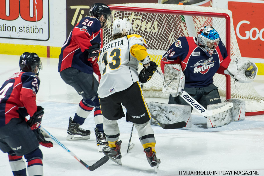Windsor Spitfires vs Sarnia Sting Feb 1 Gallery